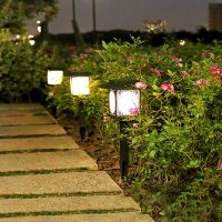 Outdoor Waterproof Solar LED Lights Decorate Garden Passages (Option: White light-3PCS)